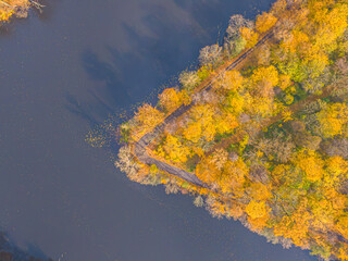 Aerial view of beautiful smooth green waters of a lake on a sunny autumn day. Bird's eye view of scenic emerald lake surrounded by forests. Clouds reflecting in the water, golden foliage in fall.