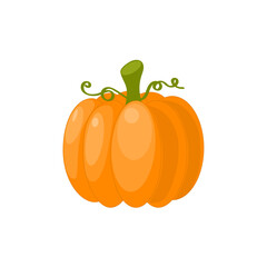 Pumpkin isolated on white background, squash, gourd, vector illustration, flat style
