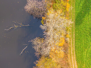 Aerial view of beautiful smooth green waters of a lake on a sunny autumn day. Bird's eye view of scenic emerald lake surrounded by forests. Clouds reflecting in the water, golden foliage in fall.