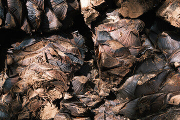 Mezcal artisanal production factory distillery in Mexico Oaxaca