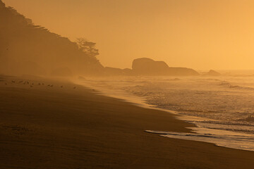 Fototapeta na wymiar Hora dourada no amanhecer na praia