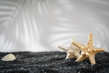 Symbolic tropical black sandy beach with white background, palm leaves sea shells and starfish and...