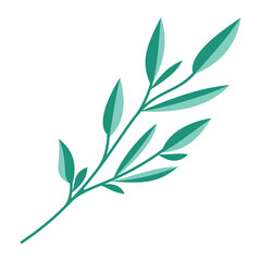 Tree Branch Illustration