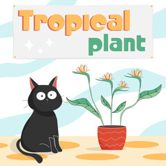 Black cat sits against the background of a tropical plant