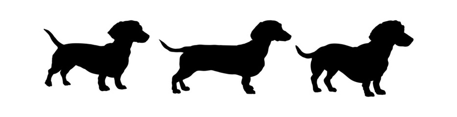 set of dachshund silhouette vector illustration