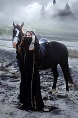 Obraz premium A warrior girl in a black oriental costume on a black horse with a katana in her hands.