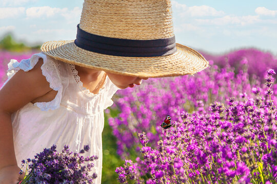 A child looks at a butterfly on flowers. Selective focus.