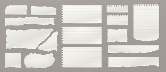 Set of torn, ripped paper strips, lined notebook paper with hard shadow are on dark grey background for text.