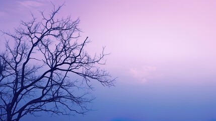 A monochrome gradient from blue to purple is a cold and modern background