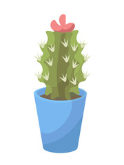 Cacti in flower pot. Tropical and exotic plant in ceramic blue vase. Gardening and botany, horticulture. Graphic element for website. Cartoon flat vector illustration isolated on white background