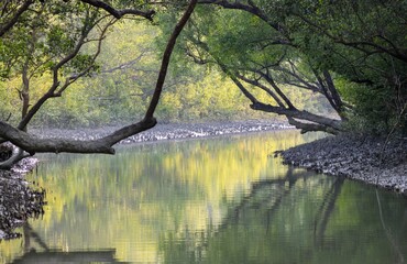 A canal in Sundarbans.Sundarbans is the biggest natural mangrove forest in the world, located...