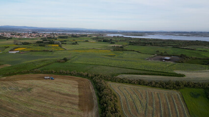 Fototapeta na wymiar Aerial view of cultivated fields