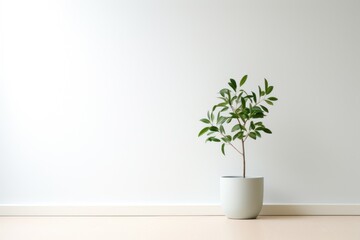 Minimalist and elegant interior design with green plant in white ceramic pot stands on light wooden table against white wall. Simple living, nomadic home design, modern living room interior.  - obrazy, fototapety, plakaty