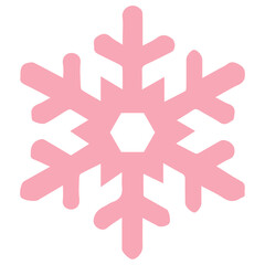 Fototapeta premium Snowflake