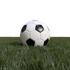 Fototapeta premium Classic Football Soccer Ball On Grass