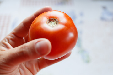 Woman hand is holding red tomato