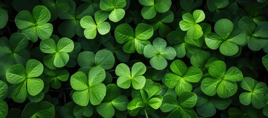 Foto op Canvas  a bunch of green leaves that are in the shape of four leafed clovers on a dark green background. © Jevjenijs