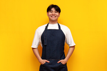asian young male waiter in apron standing and smiling on yellow isolated background, korean guy barista businessman