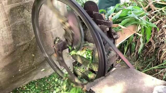Fodder cutting machine. Farmer cutting silage using chaff cutter. Normal working day at a livestock feed factory. young man works. Slow Motion. beautiful 4K Footage