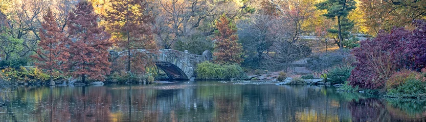 Foto op Plexiglas Gapstow Brug Autumn in Central Park