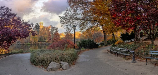 Fotobehang Gapstow Brug Autumn in Central Park