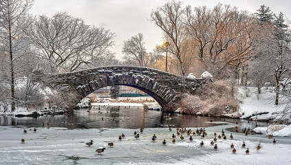 Gapstow Bridge in Central Park,snow storm