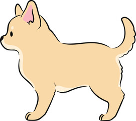 Simple and hand drawn cute illustration of cream colored Chihuahua in side view