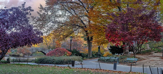 Photo sur Plexiglas Pont de Gapstow Autumn in Central Park