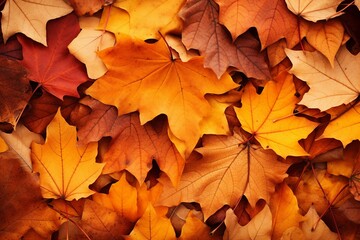 Naklejka na ściany i meble Background adorned with the hues of autumn leaves