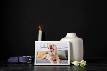 Frame with picture of dog, collar, burning candle and mortuary urn on dark background. Pet funeral - obrazy, fototapety, plakaty