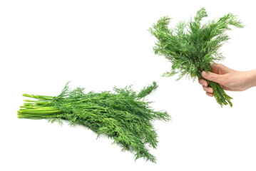 A bunch of dill isolated on white background.