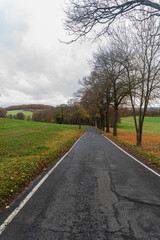 Fototapeta na wymiar Rolling landscape with road with rtrees around, meadows, fields and forest near Plauen city in Germany