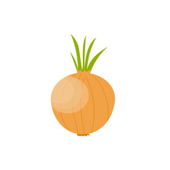 Onion isolated on white background, vector illustration, flat style