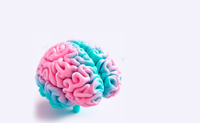 Human brain model on a white background. ering, 3d ill3d rendustration.