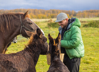 guy feeding a horse a treat from his hand on a farm