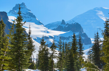 Mt Rainier in early summer