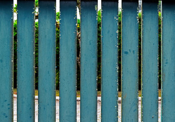 Obraz premium Old wood green gate (detail) in Teresopolis, Rio de Janeiro, Brazil