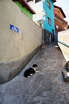 Alley with a sign on the wall with its name written as Viela do Gordaia