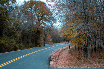 Fototapeta na wymiar road in autumn
