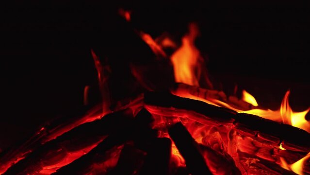 Smoldering chops of wood in the bonfire. Beautiful charcoals flashing close up. Black backdrop.