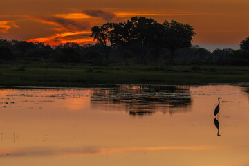 African Sunset