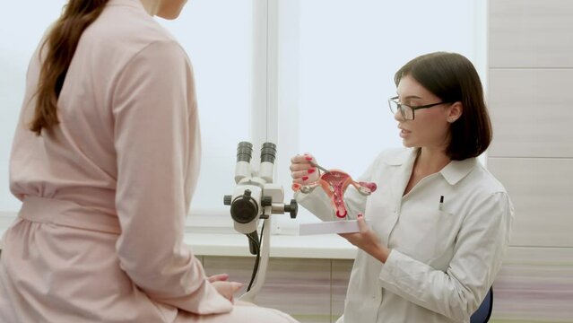 Doctor holding Uterus and Ovaries model. Ovarian and Cervical cancer, Cervix disorder, Endometriosis, Hysterectomy, Uterine fibroids, Reproductive system and Pregnancy concept. Patient consultation. 