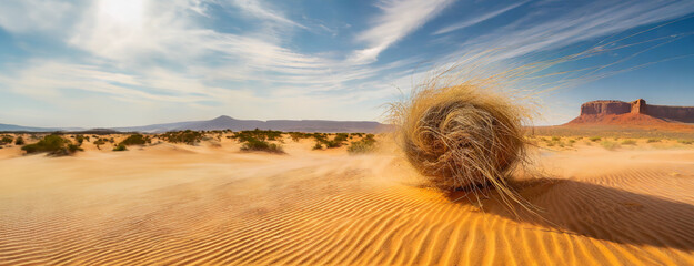 Tumbleweed rolling in desert sand dunes. Made of roofs of the plants. Symbol of desolation and empty expanses, unknown destinations, mysterious, moving across the land at the mercy of the winds.