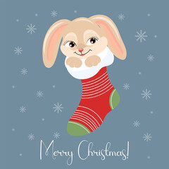 Cute bunny in a Christmas sock on a background of snowflakes. Christmas card, poster, vector