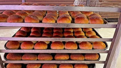 Small loaves of bread on a tray, fresh from the oven.