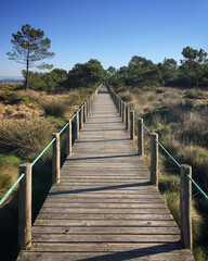 Wooden path in the dunes near Esposende, Portugal, December 2017