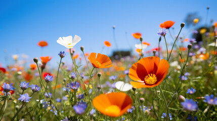 Naklejka premium A field of flowers. Generative Ai