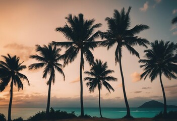 Fototapeta na wymiar Several Caribbean palm trees