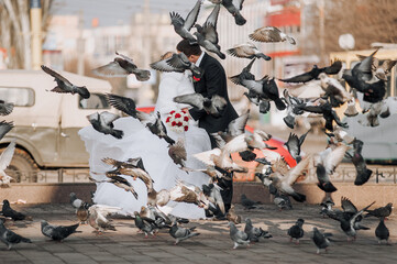 Fototapety na wymiar - Fototapeta24.pl