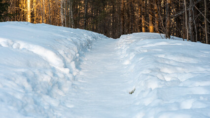 Walking in a winter day